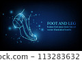 Human foot line, foot and leg, knee and toe, digital business concept, futuristic digital innovation background vector illustration. 113283632