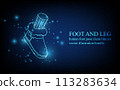 Human foot line, foot and leg, knee and toe, digital business concept, futuristic digital innovation background vector illustration. 113283634