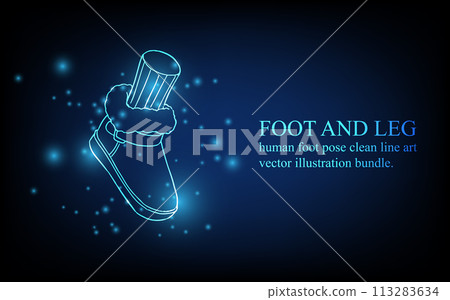 Human foot line, foot and leg, knee and toe, digital business concept, futuristic digital innovation background vector illustration. Human foot line, foot and leg, knee and toe, digital business concept, futuristic digital innovation background vector illustration. 113283634