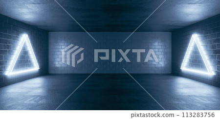 The empty room with brick wall and neon lights 3d render illustration 113283756