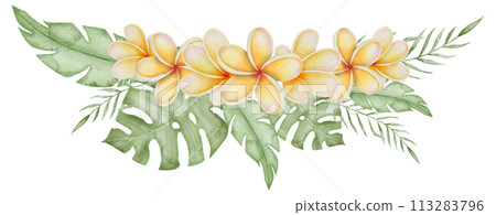 Plumeria Watercolor illustration. Frangipani flower with tropical palm leaves. Hand drawn floral border for frame on isolated background. Bouquet of exotic summer plants for invitations or cards. 113283796