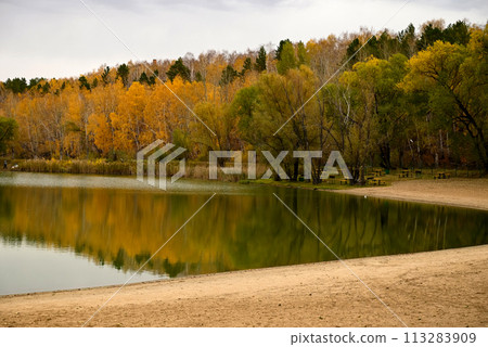 Autumn forest on a small island. Reflection of orange and green trees in the lake. 113283909