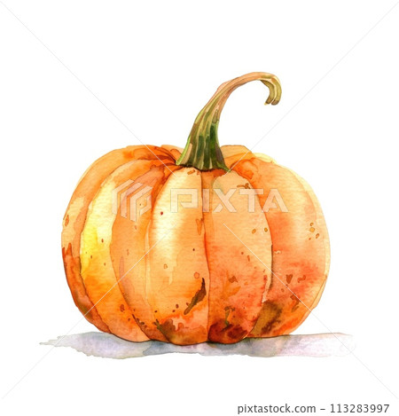 A watercolor painting of a vibrant orange pumpkin with a textured stem 113283997