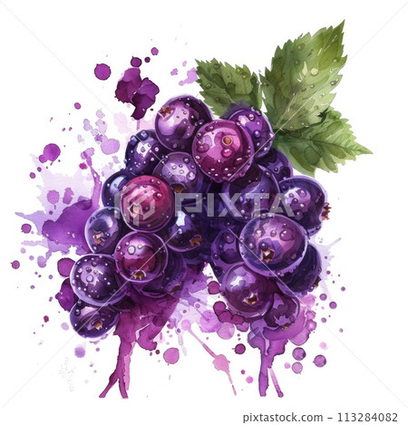Vibrant watercolor blackcurrants burst with color and life 113284082