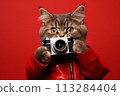 A cat in red leather jacket with a black camera in his hands. Red background. Isolated. The concept of the photographer. 113284404