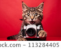 A cat holding a black photo camera. Red background. Isolated. Photographer concept. 113284405
