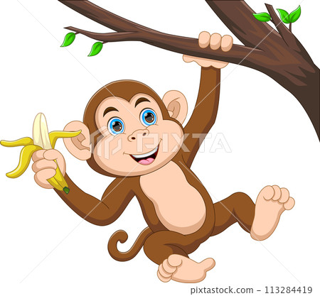Cute monkey hanging on a tree and holding a banana cartoon Cute monkey hanging on a tree and holding a banana cartoon 113284419