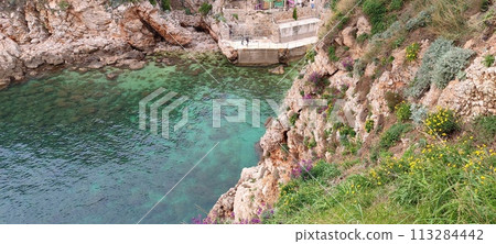 Green slopes under the fortress of the old town 113284442