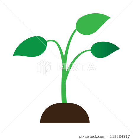 Plant icon 113284517