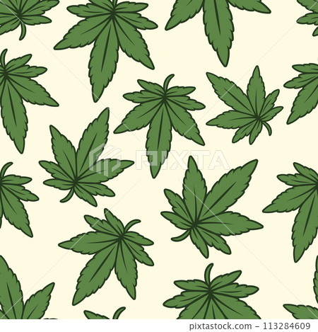 Vector Seamless Pattern with Flat Cannabis Leaves. Hemp, Cannabis Green Leaf on a White Background. Seamless Print with Medical Marijuana. Vector Illustration Vector Seamless Pattern with Flat Cannabis Leaves. Hemp, Cannabis Green Leaf on a White Background. Seamless Print with Medical Marijuana. Vector Illustration 113284609