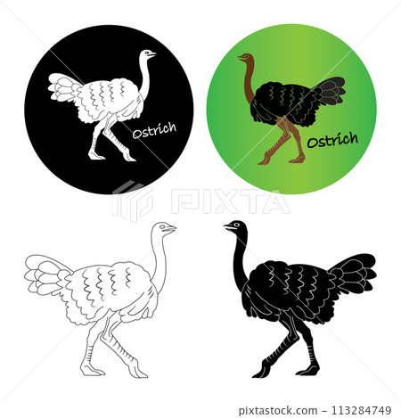 Ostrich icon 113284749