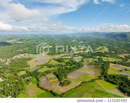 Aerial view of paddy farm fields with houses of farmers and green forest in Tablas Island. Romblon, Philippines. Aerial view of paddy farm fields with houses of farmers and green forest in Tablas Island. Romblon, Philippines. 113285393
