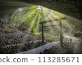 Takachiho Amanoyasugawara Amanoiwato Shrine Miyazaki 113285671
