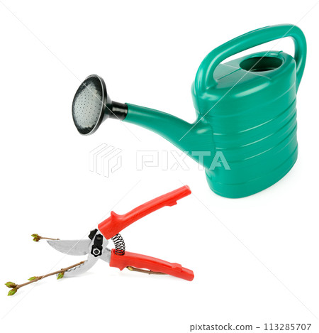 Garden watering can and secateurs isolated on white background. There is free space for text. Collage. Garden watering can and secateurs isolated on white background. There is free space for text. Collage. 113285707