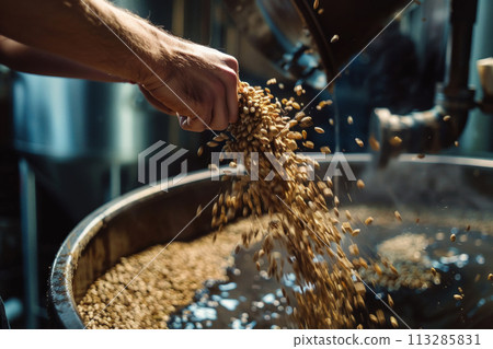 Brewer Pouring Malted Grains for Brewing Brewer Pouring Malted Grains for Brewing 113285831