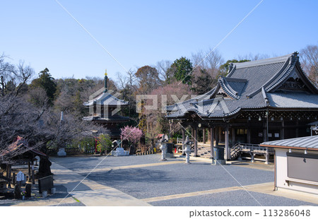 Mitaki Fudoson Temple grounds Kanasugi, Funabashi City, Chiba Prefecture Mitaki Fudoson Temple grounds Kanasugi, Funabashi City, Chiba Prefecture 113286048