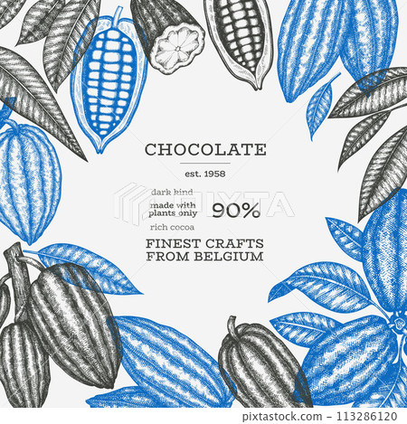 Cocoa Banner Template. Chocolate Retro Cocoa Beans Background. Vector Vintage Style Hand Drawn Illustration. 113286120