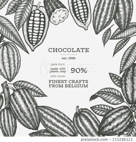 Cocoa Banner Template. Chocolate Retro Cocoa Beans Background. Vector Vintage Style Hand Drawn Illustration. Cocoa Banner Template. Chocolate Retro Cocoa Beans Background. Vector Vintage Style Hand Drawn Illustration. 113286121