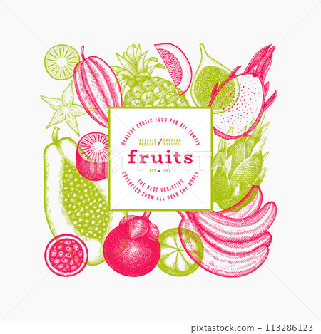 Tropical Fruit Design Template. Vector Hand Drawn Exotic Fruit Banner. Vintage Style Menu Illustration. Tropical Fruit Design Template. Vector Hand Drawn Exotic Fruit Banner. Vintage Style Menu Illustration. 113286123