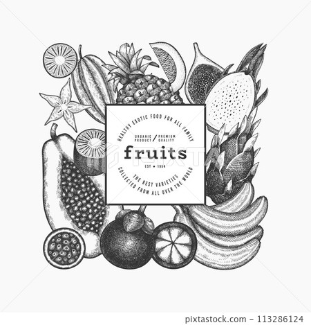 Tropical Fruit Design Template. Vector Hand Drawn Exotic Fruit Banner. Vintage Style Menu Illustration. 113286124