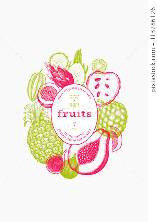 Tropical Fruit Design Template. Vector Hand Drawn Exotic Fruit Banner. Vintage Style Menu Illustration. 113286126