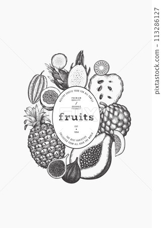 Tropical Fruit Design Template. Vector Hand Drawn Exotic Fruit Banner. Vintage Style Menu Illustration. Tropical Fruit Design Template. Vector Hand Drawn Exotic Fruit Banner. Vintage Style Menu Illustration. 113286127
