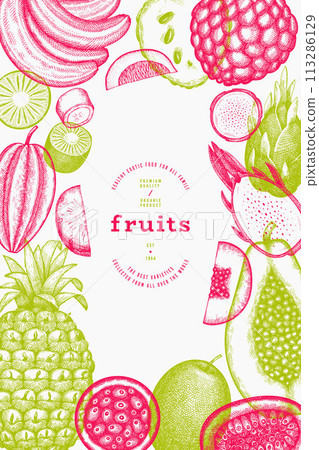 Tropical Fruit Design Template. Vector Hand Drawn Exotic Fruit Banner. Vintage Style Menu Illustration. Tropical Fruit Design Template. Vector Hand Drawn Exotic Fruit Banner. Vintage Style Menu Illustration. 113286129