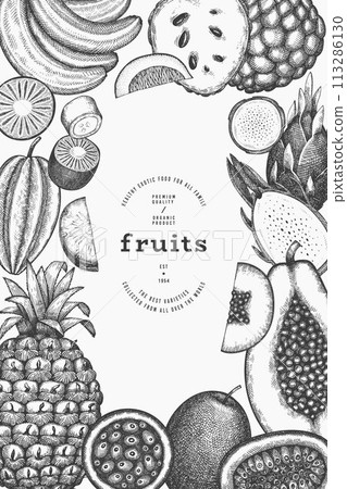 Tropical Fruit Design Template. Vector Hand Drawn Exotic Fruit Banner. Vintage Style Menu Illustration. 113286130