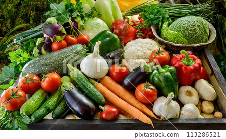 Various vegetables Lots of vegetables 113286521