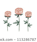 Set of peonies 113286787