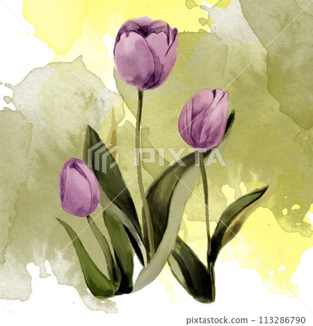 wildflower tulip flower in a watercolor 113286790