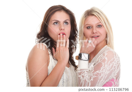 society gossip two happy young girlfriends talking 113286796