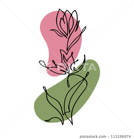 Flower abstract print continuous line drawing, single line on a white background, isolated vector illustration. Line art. Tattoo and logo design for a spa or beauty salon. 113286974