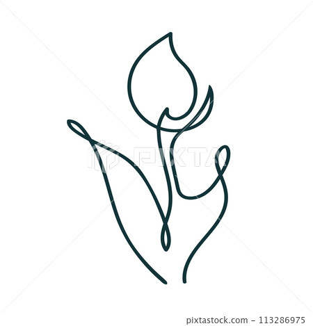 Tulip flower line art, tulip flower one line art, tulip flower line drawing vector artwork, minimalist contour drawing vector illustration Tulip flower line art, tulip flower one line art, tulip flower line drawing vector artwork, minimalist contour drawing vector illustration 113286975