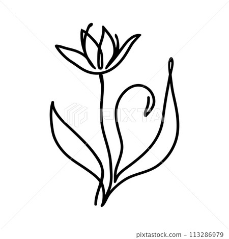 flower line one art isolated vector illustration flower line one art isolated vector illustration 113286979