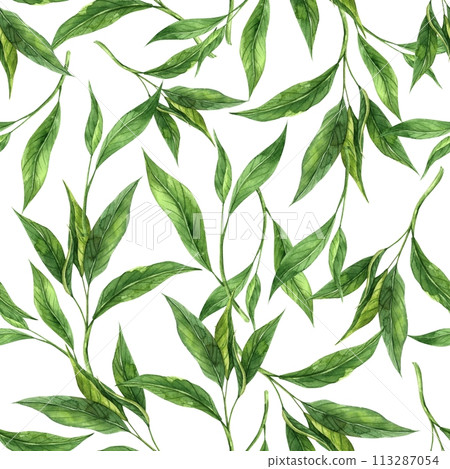 Watercolor pattern of fresh tea leaves on a white background. Hand drawn illustration on isolated background, suitable for menu design, packaging, poster, website, textile, invitation, ceramics. 113287054
