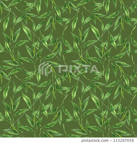 Watercolor pattern of fresh tea leaves on a green background. Hand drawn illustration on isolated background, suitable for menu design, packaging, poster, website, textile, invitation, ceramics. Watercolor pattern of fresh tea leaves on a green background. Hand drawn illustration on isolated background, suitable for menu design, packaging, poster, website, textile, invitation, ceramics. 113287058