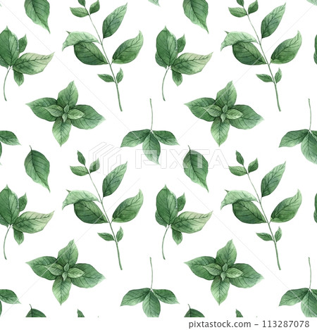 Watercolor seamless pattern with juicy, spicy mint on a white background. Illustration is hand drawn, suitable for menu design, packaging, poster, website, textile, invitation, brochure. 113287078
