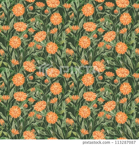 Watercolor botanical pattern of calendula with leaves on a green background. Illustration is hand drawn, suitable for menu design, packaging, poster, website, textile, invitation, brochure, textile. Watercolor botanical pattern of calendula with leaves on a green background. Illustration is hand drawn, suitable for menu design, packaging, poster, website, textile, invitation, brochure, textile. 113287087