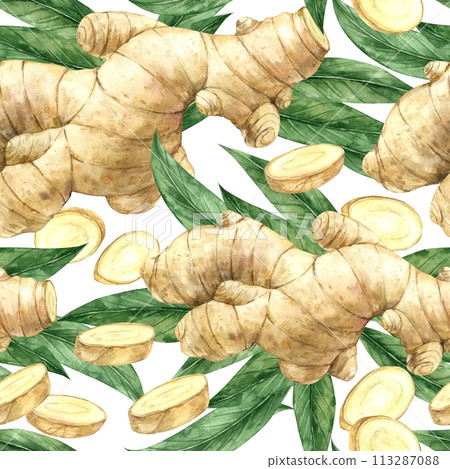 Watercolor seamless pattern with realistic ginger and leaves on a white background. Illustration is hand drawn, suitable for menu design, packaging, poster, website, textile, invitation, brochure. Watercolor seamless pattern with realistic ginger and leaves on a white background. Illustration is hand drawn, suitable for menu design, packaging, poster, website, textile, invitation, brochure. 113287088