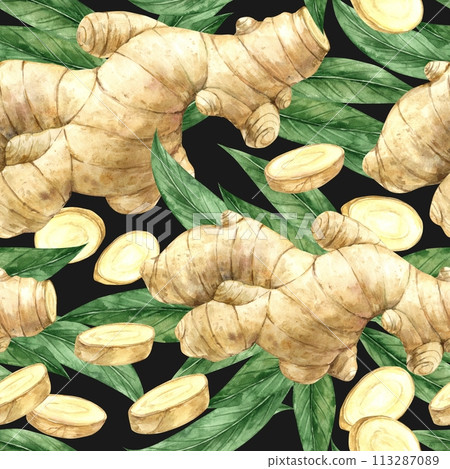 Watercolor seamless pattern with realistic ginger and leaves on a green background. Illustration is hand drawn, suitable for menu design, packaging, poster, website, textile, invitation, brochure. Watercolor seamless pattern with realistic ginger and leaves on a green background. Illustration is hand drawn, suitable for menu design, packaging, poster, website, textile, invitation, brochure. 113287089