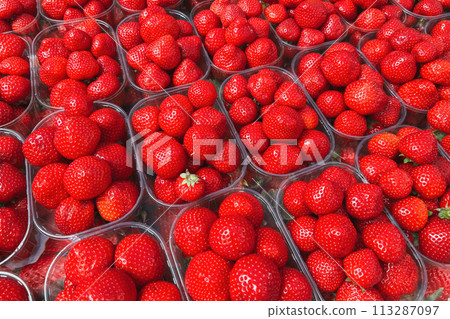 Boxes of strawberries in a French market Boxes of strawberries in a French market 113287097