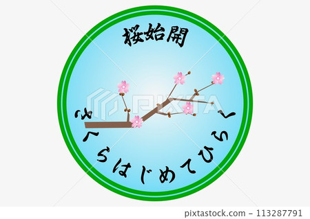 櫻花開始開放。櫻花第一次開放。櫻花開始綻放。 113287791