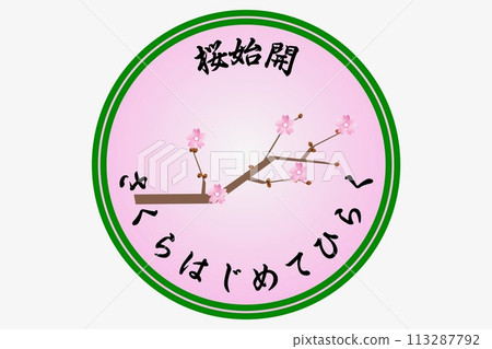 櫻花開始開放。櫻花第一次開放。櫻花開始綻放。 113287792