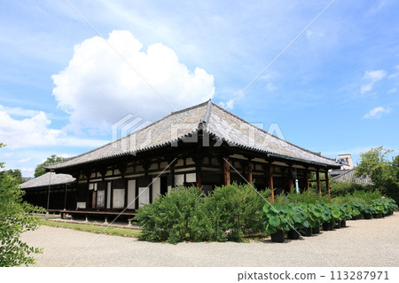 Genkoji Temple [Nara City, Nara Prefecture] 113287971