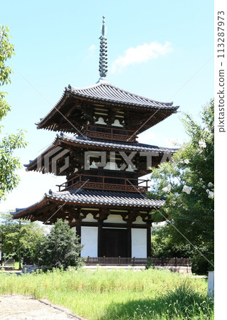 National Treasure, the Three-story Pagoda of Hokiji Temple [Ikaruga Town, Ikoma District, Nara Prefecture] 113287973