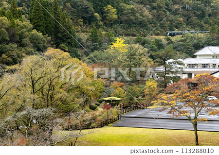 前往宮崎縣青岳自然公園的觀光列車 36 Plus 3 JR 九州 D&S 列車 前往宮崎縣青岳自然公園的觀光列車 36 Plus 3 JR 九州 D&S 列車 113288010