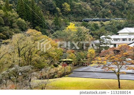 前往宮崎縣青岳自然公園的觀光列車 36 Plus 3 JR 九州 D&S 列車 前往宮崎縣青岳自然公園的觀光列車 36 Plus 3 JR 九州 D&S 列車 113288014