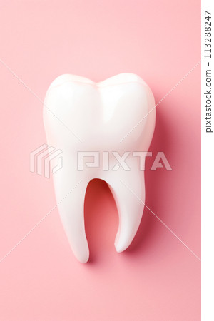 Molar human tooth model, empty pink background, copy space. Dental health concept, dental services medicine Molar human tooth model, empty pink background, copy space. Dental health concept, dental services medicine 113288247