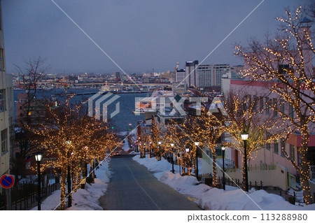 Hakodate illumination Hakodate illumination 113288980